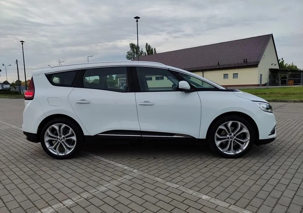 Renault Grand Scenic cena 43900 przebieg: 187000, rok produkcji 2017 z Ziębice małe 92